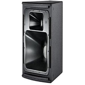 JBL Professional AM7212/00 High Power 2-Way Loudspeaker with 12-Inch LF & Rotatable Horn, Black(Black)