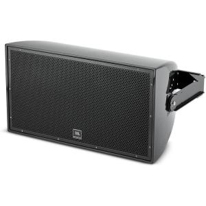 JBL Professional AW566 High Power 2-Way All Weather Loudspeaker with 15-Inch LF & Rotatable Horn, White(Black)